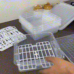 Fridge Storage Container (Pack of 6) - HomeHives